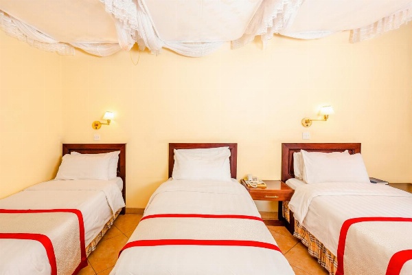 New Safari Hotel image 2