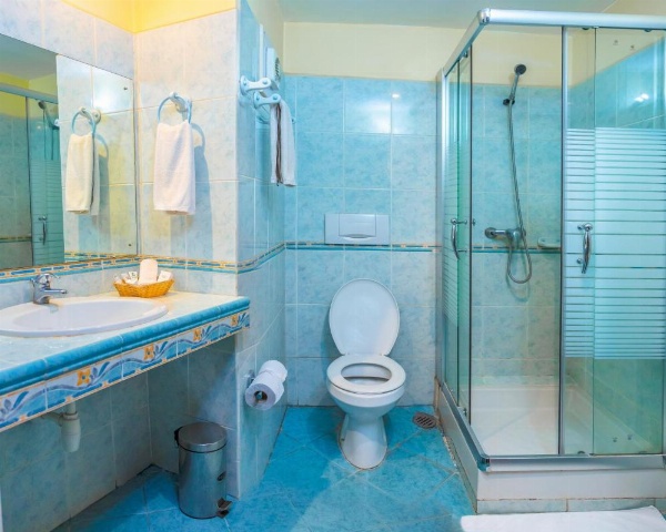 New Safari Hotel image 26