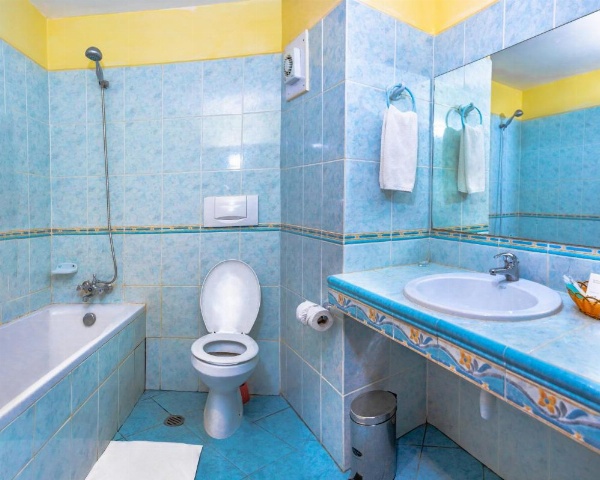New Safari Hotel image 27